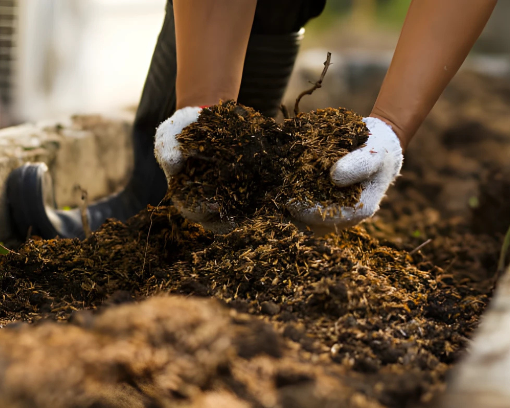 Untitled design - 2025-09-18T113254.810