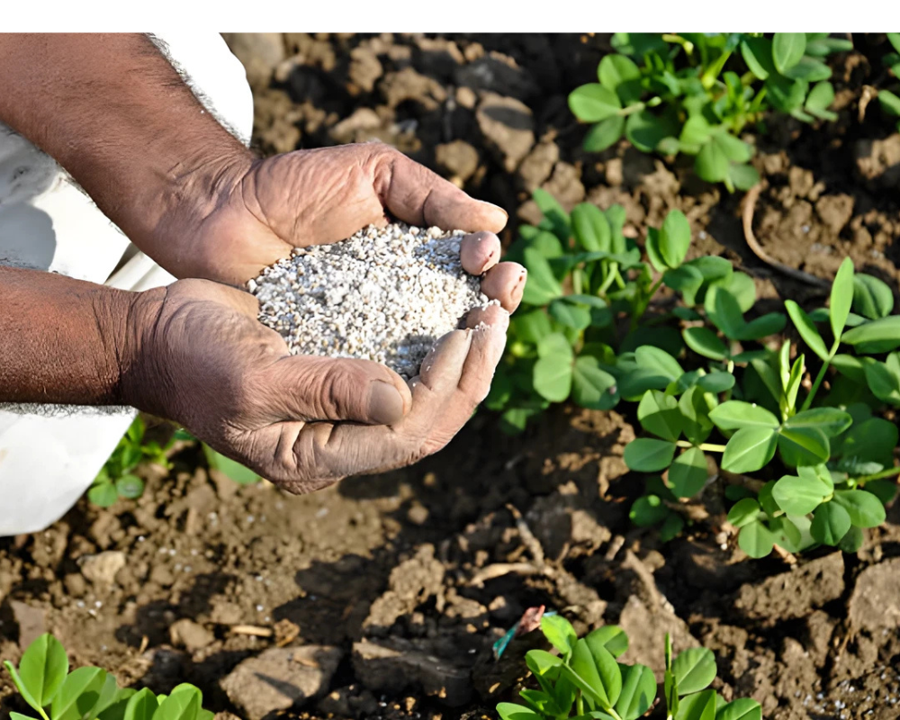 Untitled design - 2025-09-18T113335.214